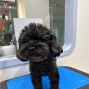 Mong's(몽'스) 이미지