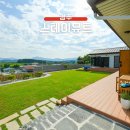 스테이 뮤트 이미지