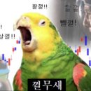 모임하우스 이미지