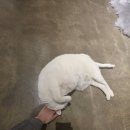 (유)정향 | 로엔히×메도우 사이드 시음회 후기