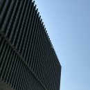엠플러스힐링센터 | M+ , 홍콩 엠플러스 뮤지엄 쿠사마 야요이 전 후기 / 홍콩 가볼만한 곳 추천