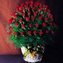 요요플라워 이미지