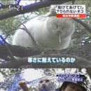 태린 네이버블로그