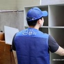이지스벤처스