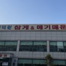 인덕원메기매운탕 이미지