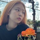 오렌지헤어 이미지
