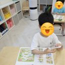 분당중앙유치원 이미지