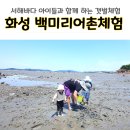 서해 갯벌체험 백미리 어촌체험마을 아이와 조개잡기 체험장 후기 샤워실완비(f. 물레방아칼국수)