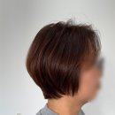 디자이너재은