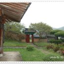 고방[7086]金之岱-忠孝雙修(충효쌍수) 이미지