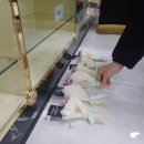 이담장례식장