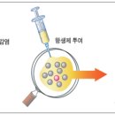 ㈜포천정비센터 데일리벳