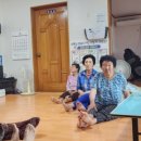 세안경로당 네이버블로그