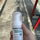 산호동149 이미지