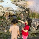 제주해양동물박물관 | 제주 아이랑 가볼만한 곳｜제주해양동물박물관 솔직후기