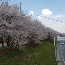 양평1보행육교 이미지