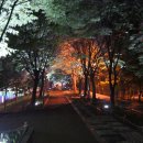 야외음악당 이미지