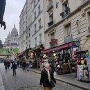 세미약국 이미지