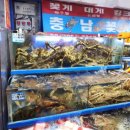 충남꽃게