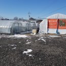 월촌농장 이미지