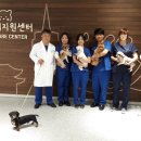 서울종합동물병원 이미지