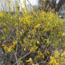 안양감리교회 이미지