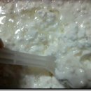 하얀버섯 이미지