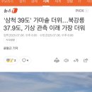 스테이백촌 | 추천 맛집 중앙시장 가볼만한곳 ( 르컬렉티브호텔 백촌막국수 중앙닭강정 속초 별구경명소 속초아이...