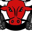 헬스카우 이미지