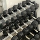 포에프 트레이닝 이미지