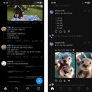[스레드] 트위터 소송이유 | 메타 스레드 | 인스타그램 스레드(threads) vs 트위터 비교 총 정리