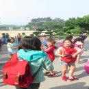 상신초등학교 이미지