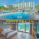 키즈앤뮤직 | 양양 더앤리조트 호텔 &amp; 스파 할인 예약 수영장 조식 애견 객실 패키지 총정리
