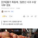 [단독]물가 폭등에…'일본산 사과 수입' 내부 검토 이미지