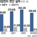 삼성전자형제 이미지