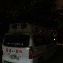 강인태권도체육관 이미지