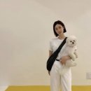 르메르 크루아상 범백 코티드 린넨 스몰 / 24S 할인코드 + 아멕스 캐시백 할인 구매!