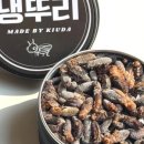 우리드라이방