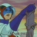 레발콩 이미지