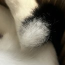 한이븐(주) 이미지