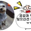 디아노이테 이미지