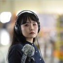 플라스틱 신화들 이미지