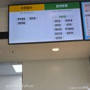 송지면사무소 | 2025년 7월 해남 꿈카 1박2일 후기(땅끝마을, 포레스트 수목원)