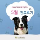 훈 동물병원 | 본동물의료센터 5월 진료후기, 수원24시동물병원