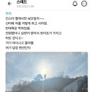 어제자 불법주차로 들통난 불륜사건.thread 이미지