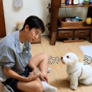놀자 - 마포구 와우산로29길 19 | 놀자