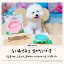해피슬로우 | 실리콘연구소실리킹해피볼슬로우식기 실리콘연구소 해피볼 휴대용식기