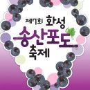 색깔포도 이미지