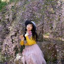 원정목장 이미지