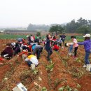 용봉에너지 이미지